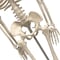 Supertek Human Skeleton Model with Key, 34in. B12409-S3 - alternate 4